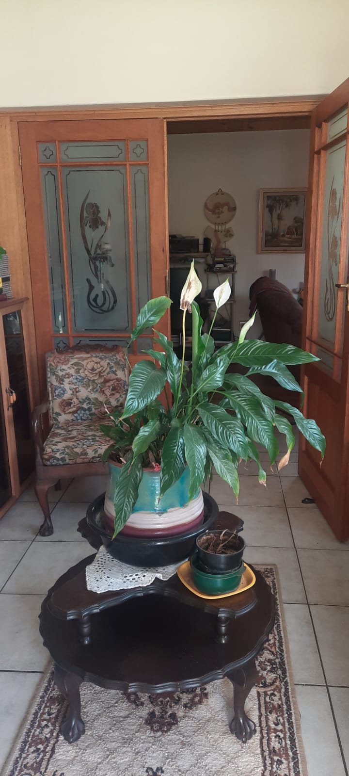 0 Bedroom Property for Sale in Dagbreek Free State